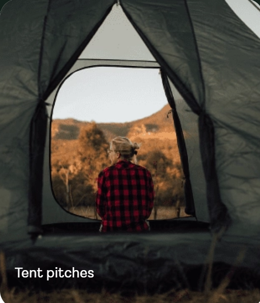 wildpoint tent